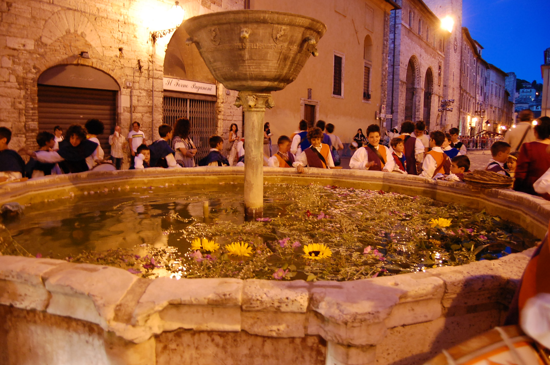clicca per ingrandire l'immagine