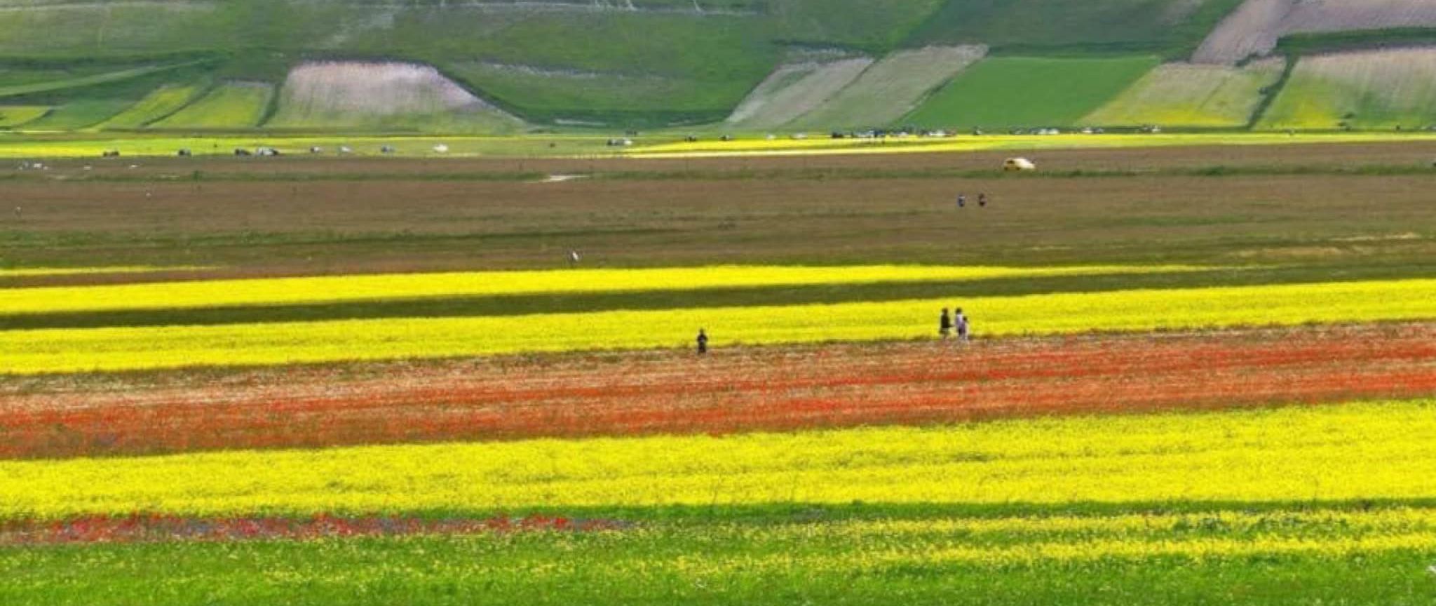 clicca per vedere il dettaglio