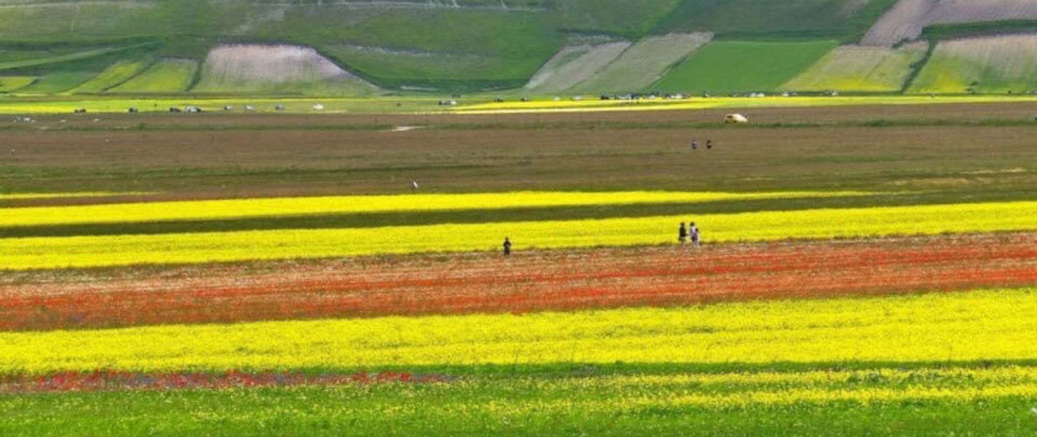 clicca per vedere il dettaglio