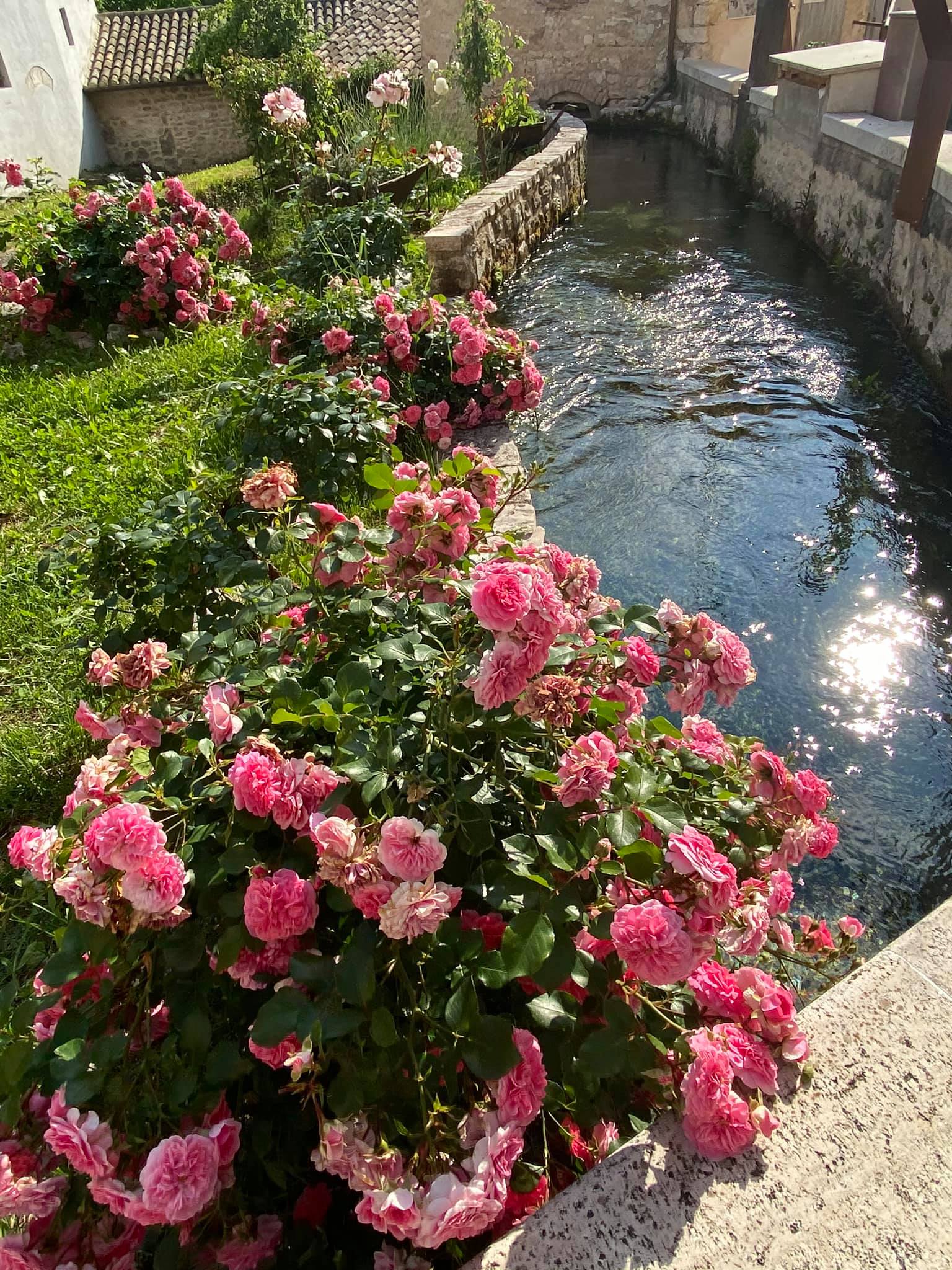 clicca per ingrandire l'immagine